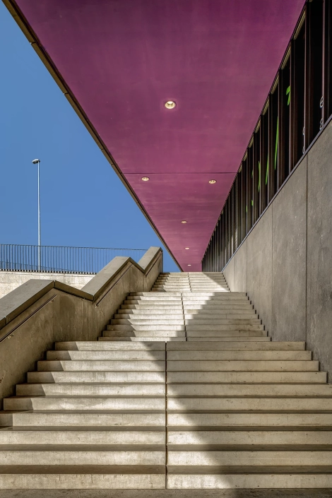 architecture_escaliers_glycines_croisettes_lausanne_fuchsia