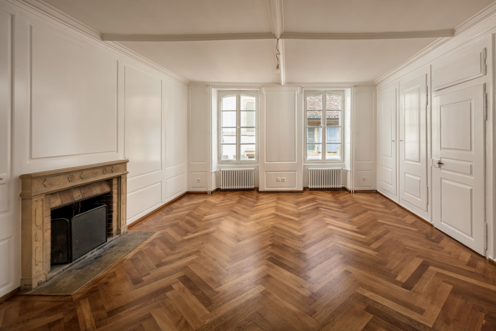 immobilier_appartement_cheminee_salon_boiseries