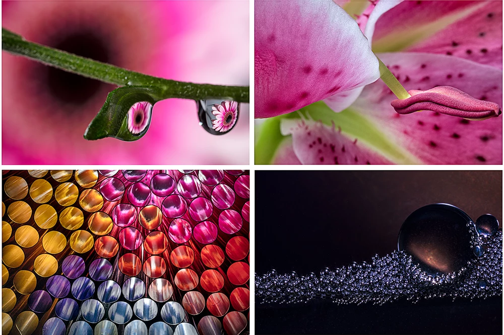 macro photography images, details